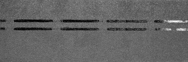 Коньково-карнизная черепица Docke Premium, черника купить в Санкт-Петербурге