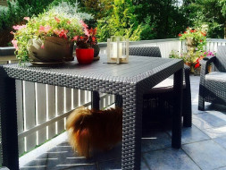 Стол квадратный Yalta Quatro Table венге